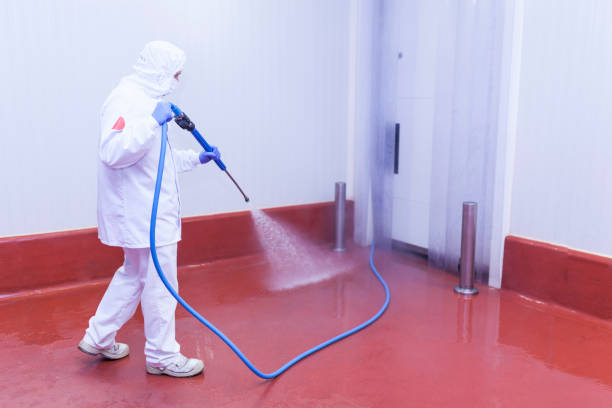 Best Winterizing Services  in Fox Chase, PA
